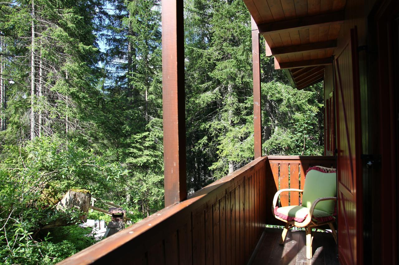 Chalet Dei Pini Aparthotel Madonna Kültér fotó